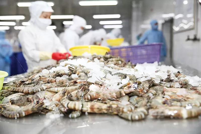 Seafood